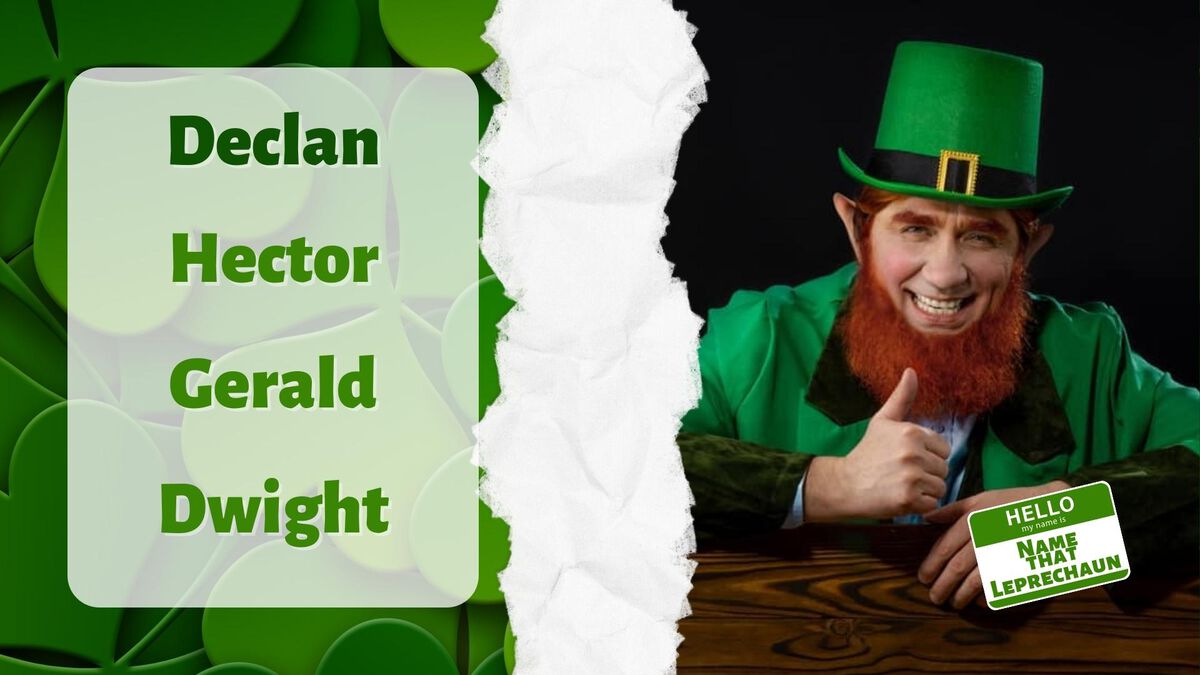 Name That Leprechaun image number null